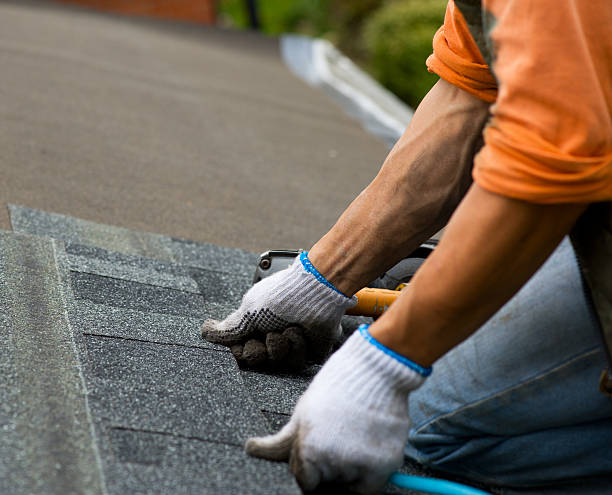 Best Roofing Contractor Near Me  in Fall River, WI