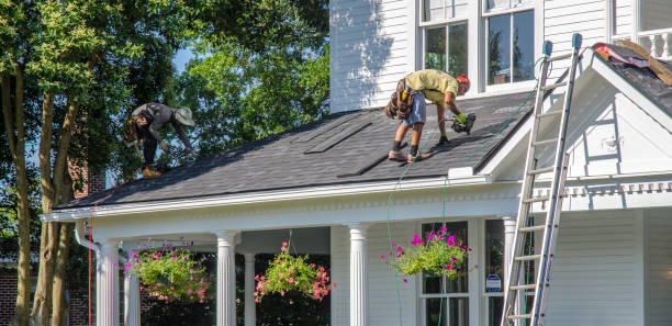 Best Gutter Installation and Roofing  in Fall River, WI